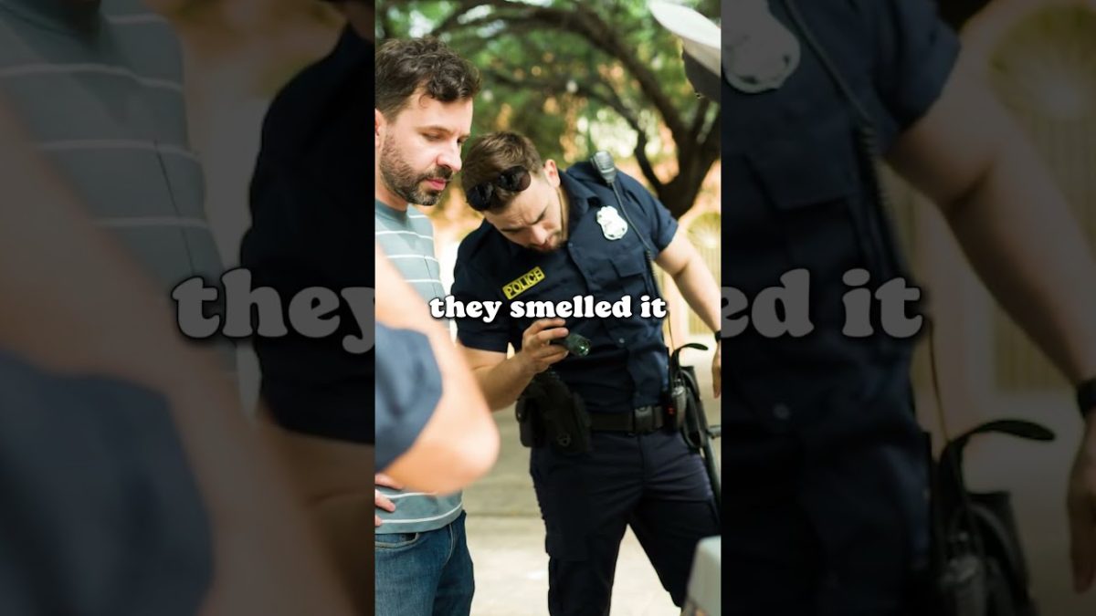 The Smell Trick 🌿Cops Use to Search Your Car